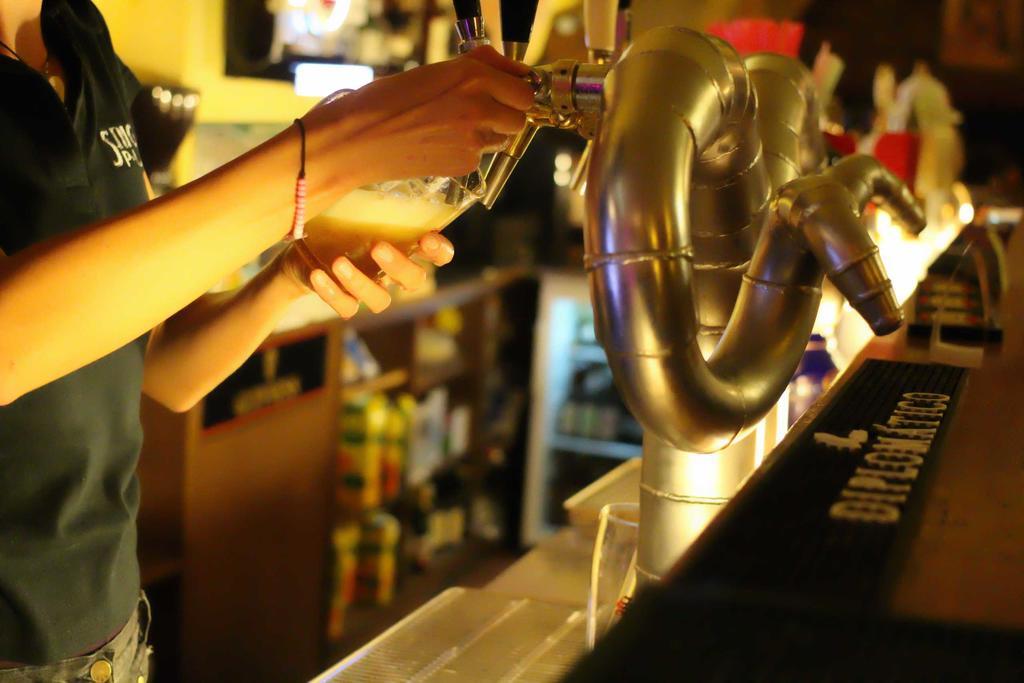 צ'סקה בודיוביצה Hostel Singer Pub מראה חיצוני תמונה